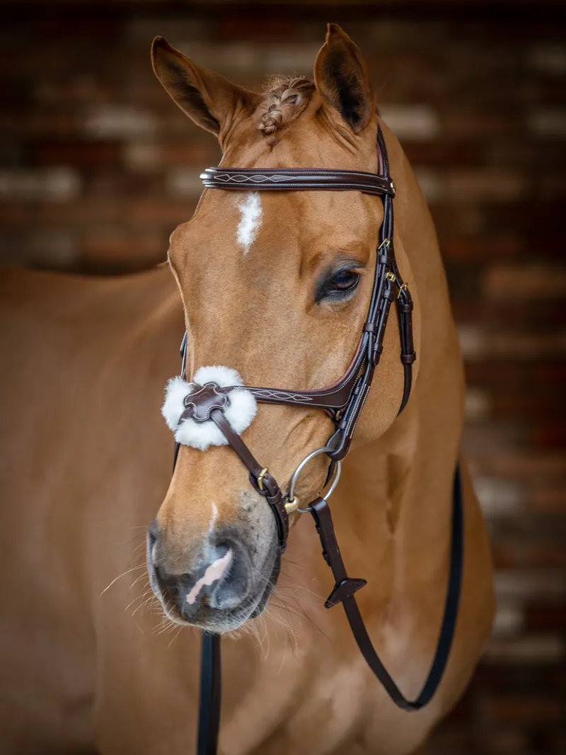 LeMieux Grackle Bridle - Havana-5